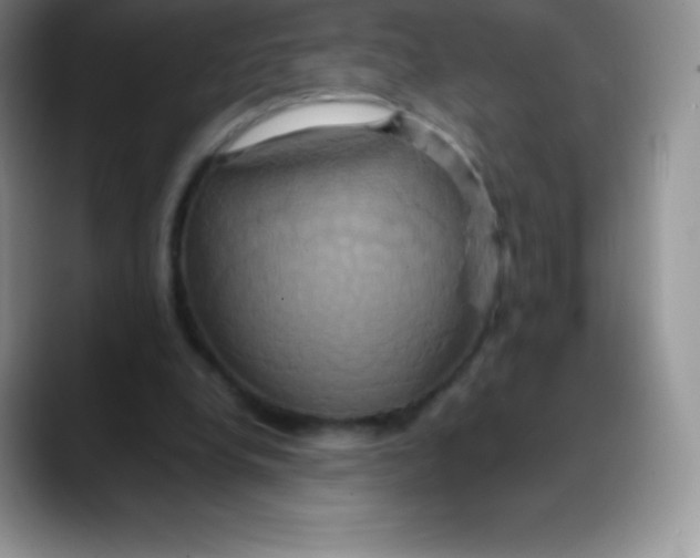 X0000088210248200705292058