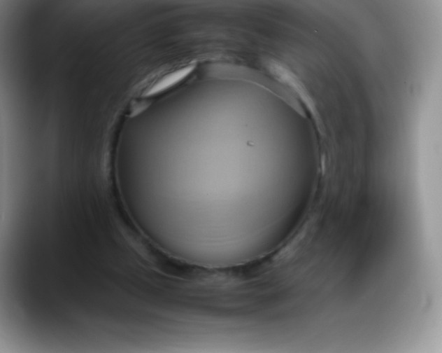 X0000088210249200705292058