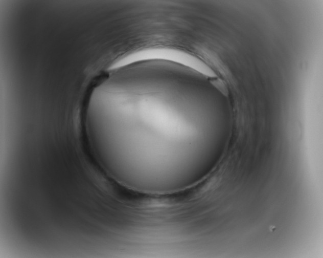 X0000088210250200705292058