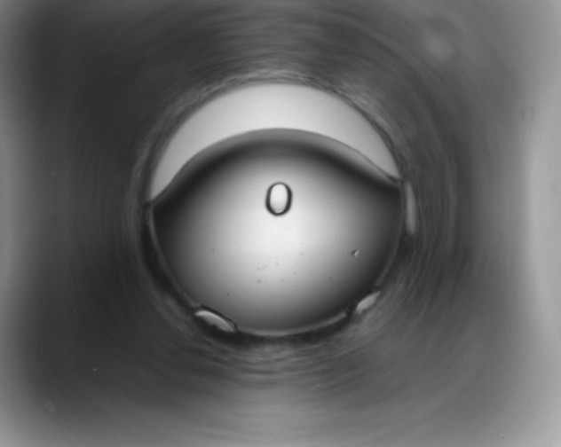 X0000088210252200705292058