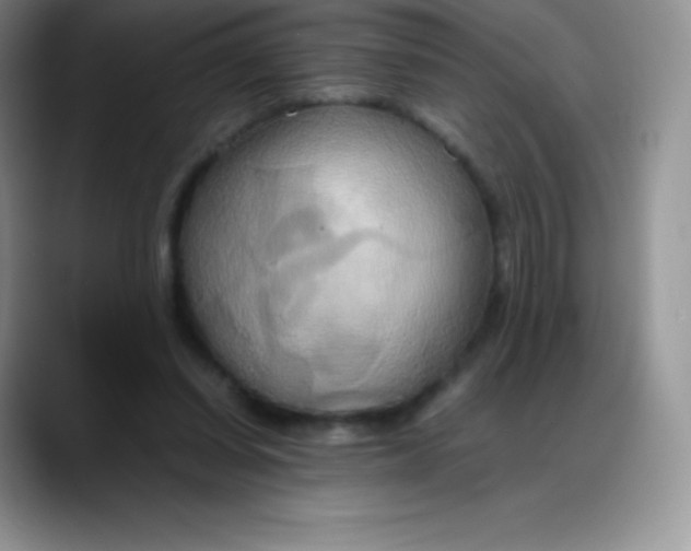 X0000088210254200705292058