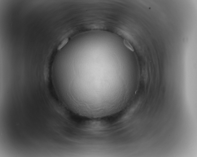 X0000088210255200705292058