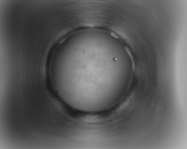 X0000088210256200705292058