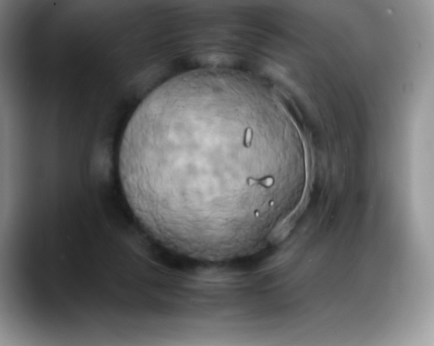 X0000088210259200705292058