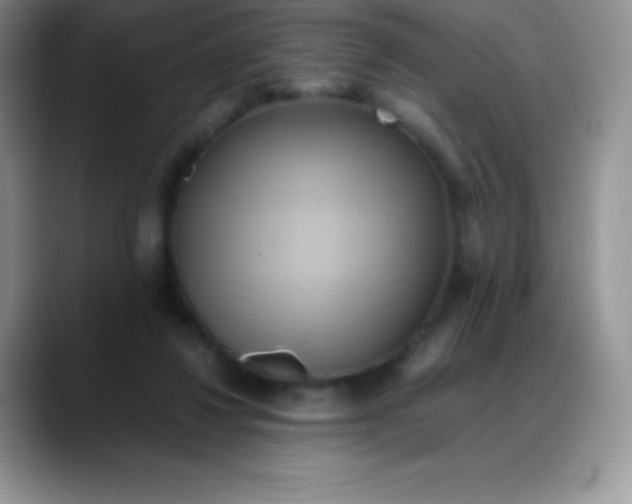 X0000088210260200705292058