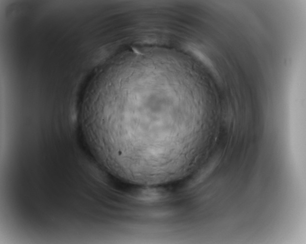 X0000088210261200705292058