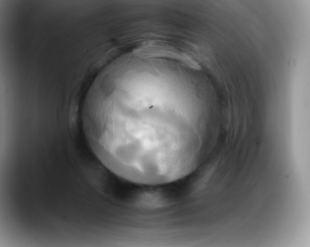 X0000088210263200705292058