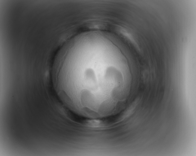 X0000088210265200705292058