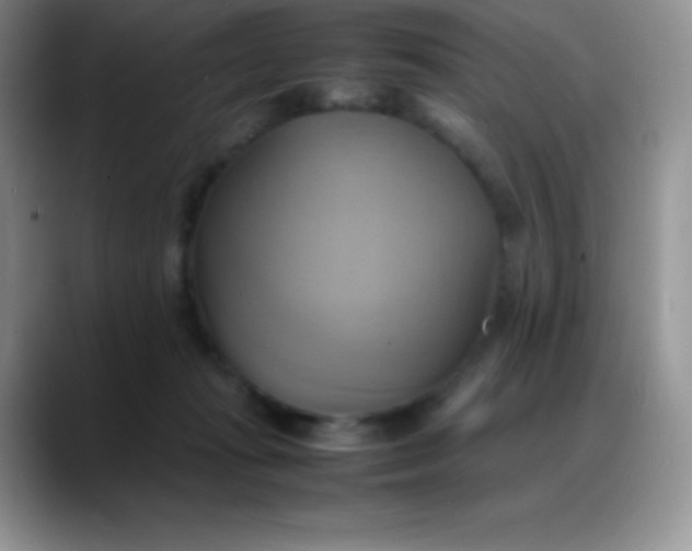 X0000088210269200705292058