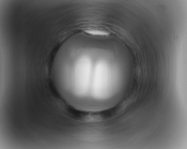 X0000088210270200705292058