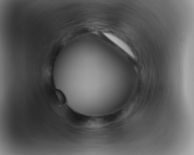 X0000088210271200705292058