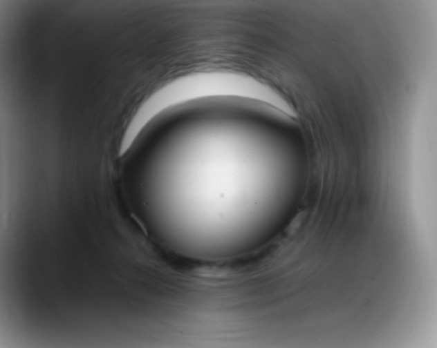 X0000088210272200705292058