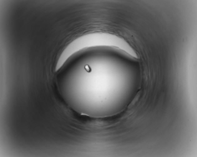 X0000088210276200705292058