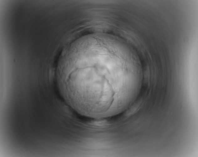 X0000088210278200705292058