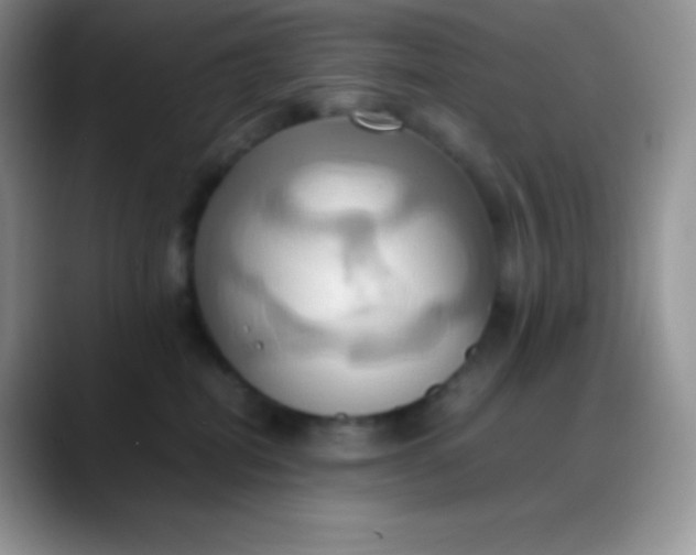 X0000088210282200705292058