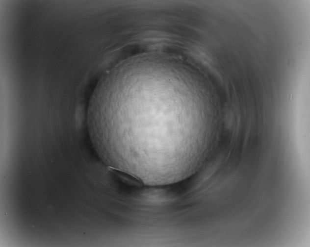 X0000088210283200705292058