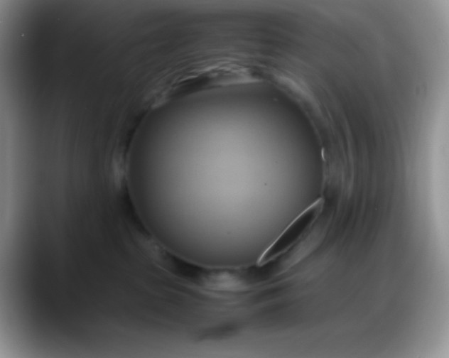 X0000088210285200705292058