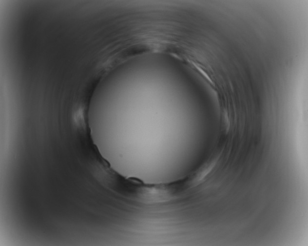 X0000088210286200705292059