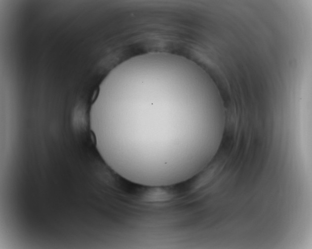 X0000088210287200705292059