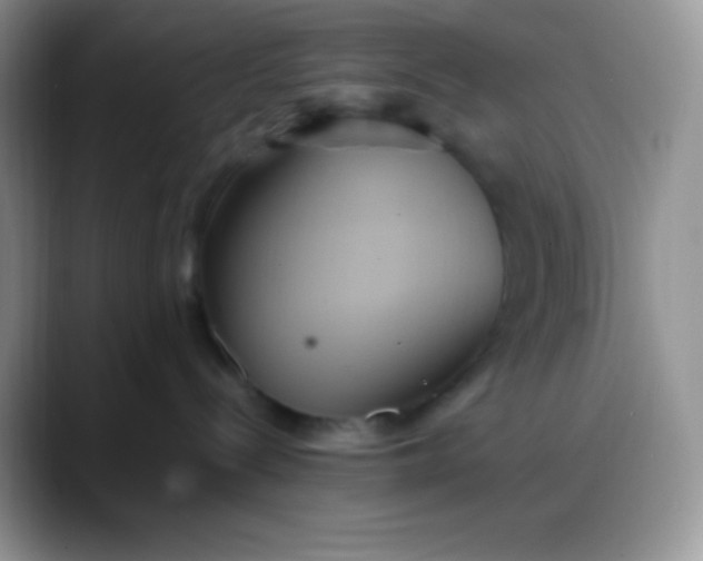 X0000088210288200705292059