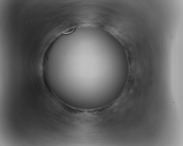 X0000088210290200705292058