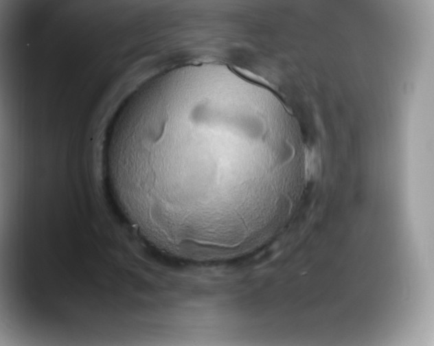 X0000088210291200705292058