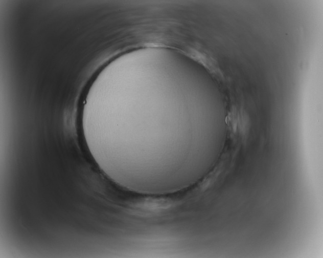 X0000088210292200705292058