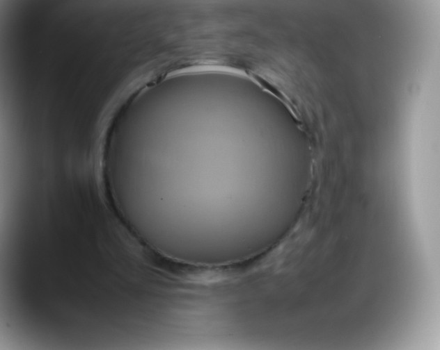 X0000088210293200705292058