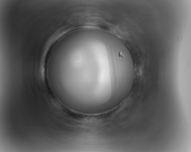 X0000088210294200705292058