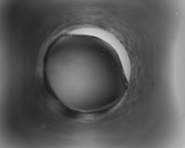 X0000088210295200705292058