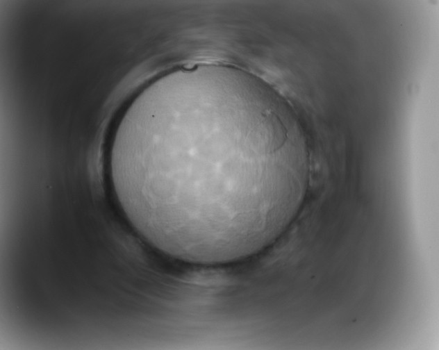 X0000088210296200705292058