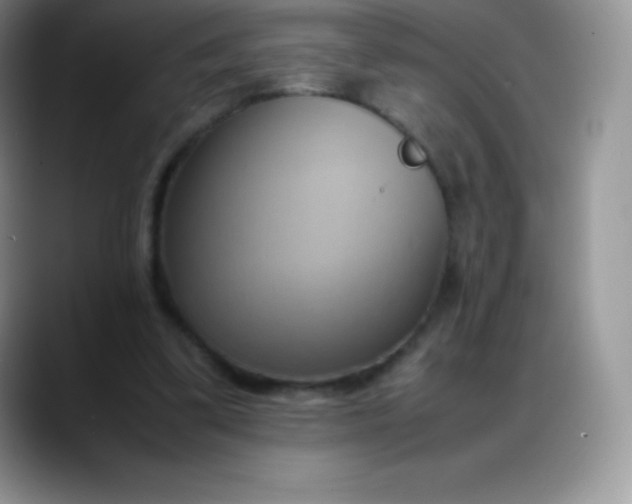 X0000088210299200705292058