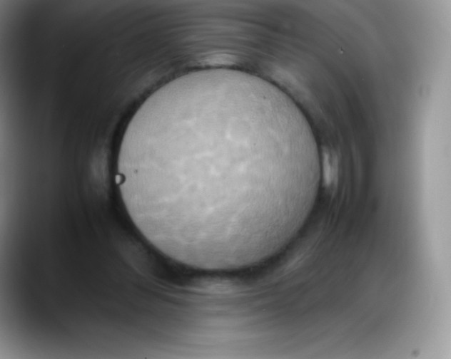 X0000088210300200705292058