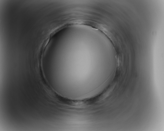 X0000088210301200705292058