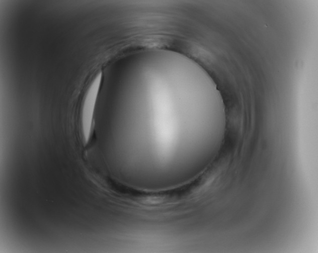 X0000088210303200705292058