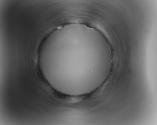 X0000088210305200705292058