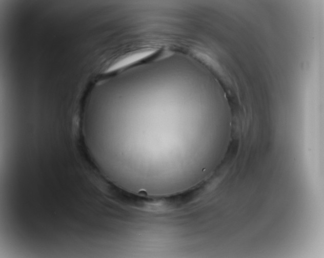 X0000088210309200705292058