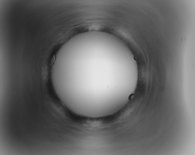 X0000088210311200705292058