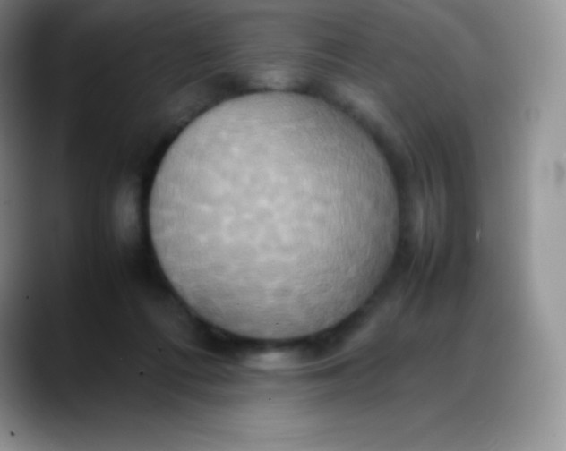 X0000088210312200705292058