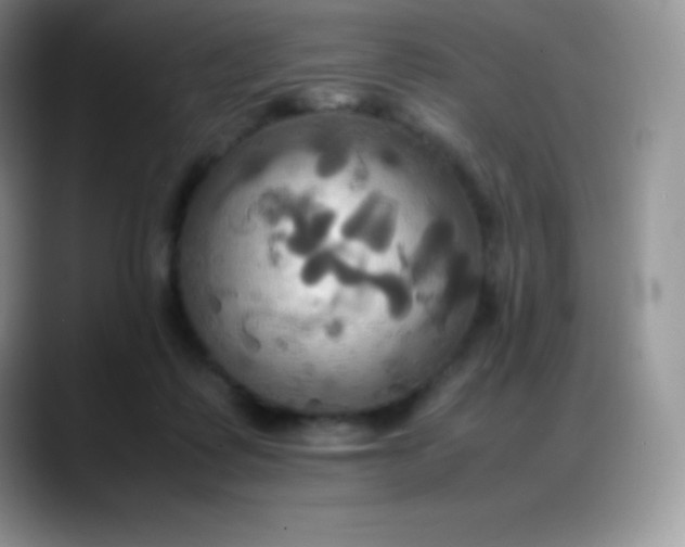 X0000088210315200705292058