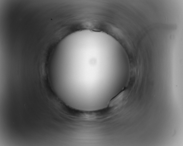 X0000088210317200705292058