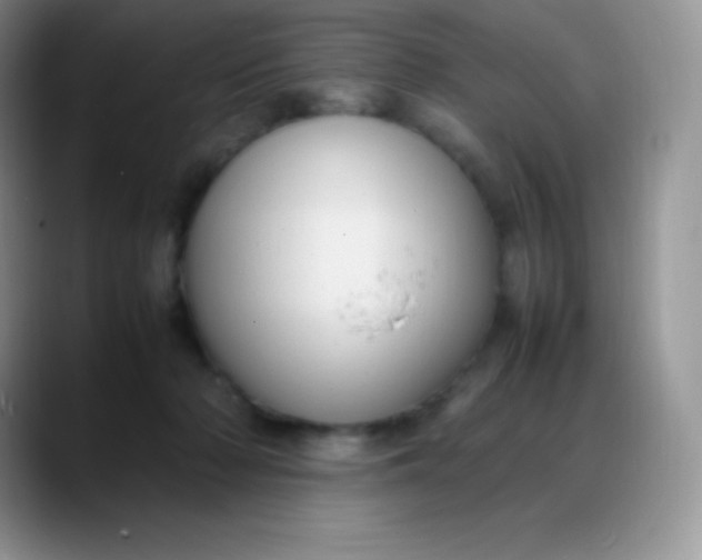 X0000088210318200705292058