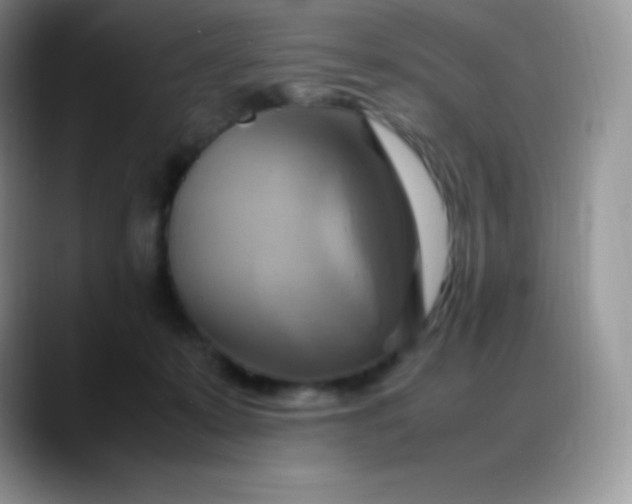 X0000088210319200705292058