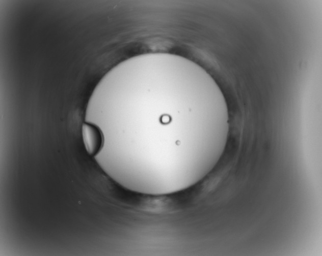 X0000088210321200705292057