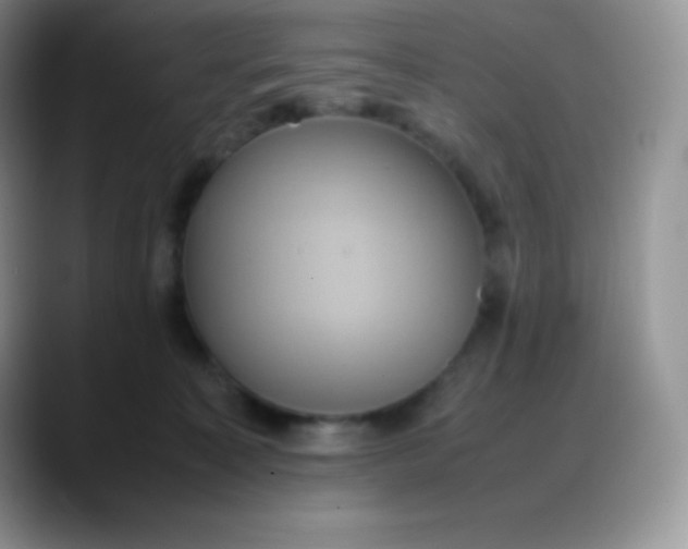 X0000088210323200705292057