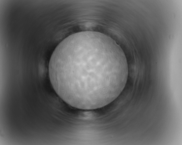 X0000088210324200705292057