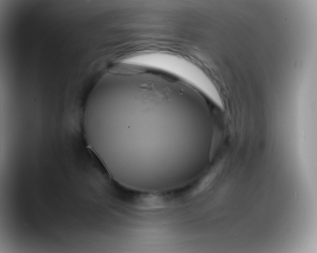 X0000088210325200705292057