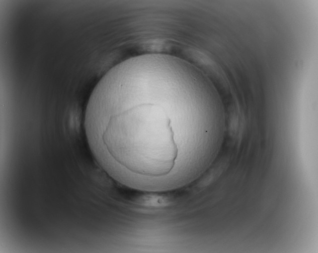 X0000088210326200705292057