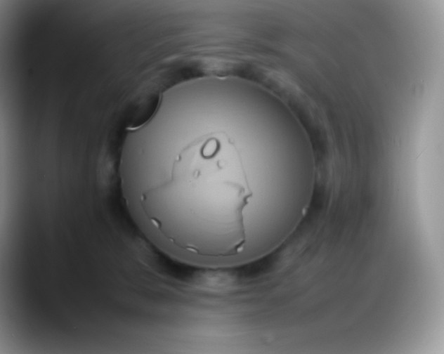 X0000088210327200705292057