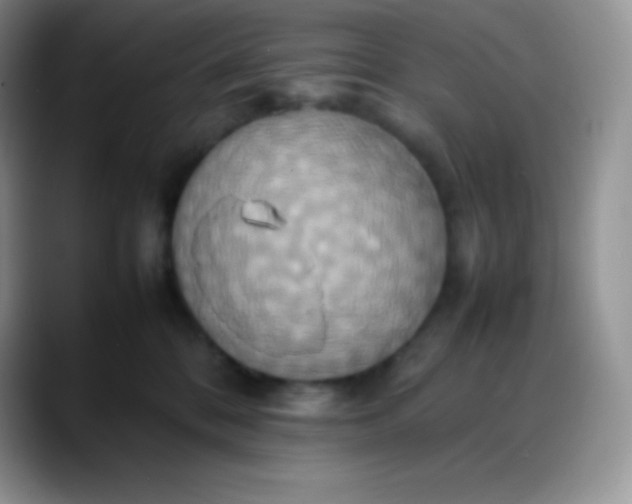 X0000088210328200705292057